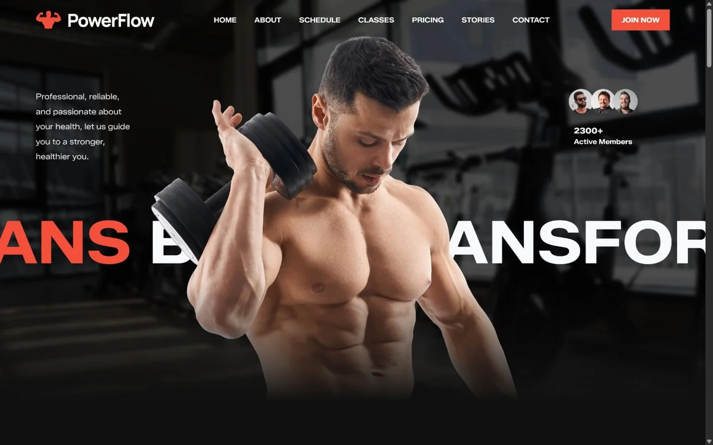 PowerFlow Strength & Fitness — website designed and built by Sean McGee