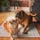 Helen Bellis's Facebook profile photo